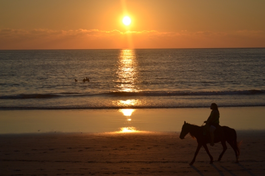 Sunset and horses